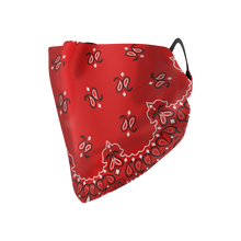 Load image into Gallery viewer, Bandana Hankie Mask - Protect Styles
