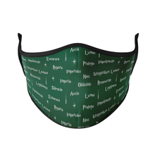 Load image into Gallery viewer, Spellbook Reusable Face Mask - Protect Styles
