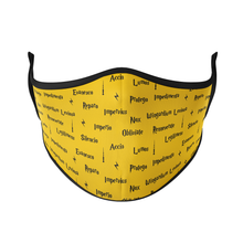 Load image into Gallery viewer, Spellbook Reusable Face Mask - Protect Styles
